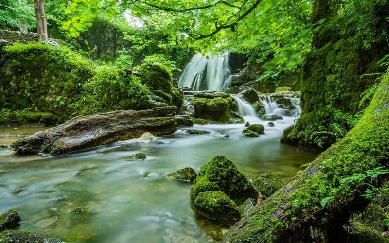 高质量稳定性